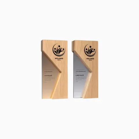 Corporate Trophy