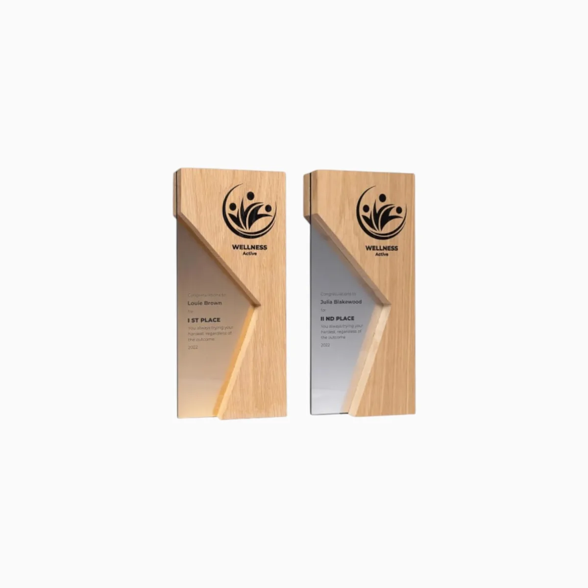 Corporate Trophy — product photo