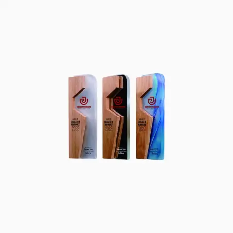 Corporate Trophy