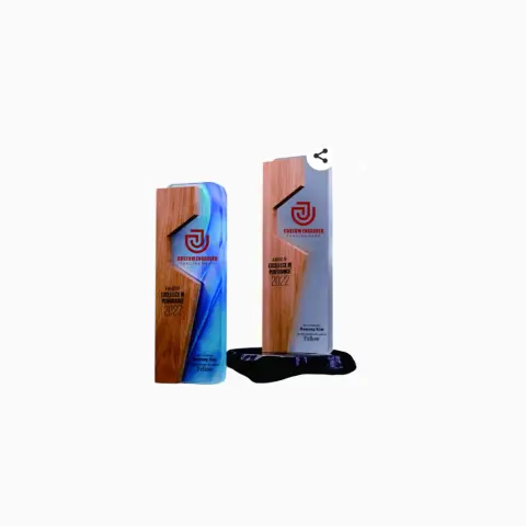 Corporate Trophy