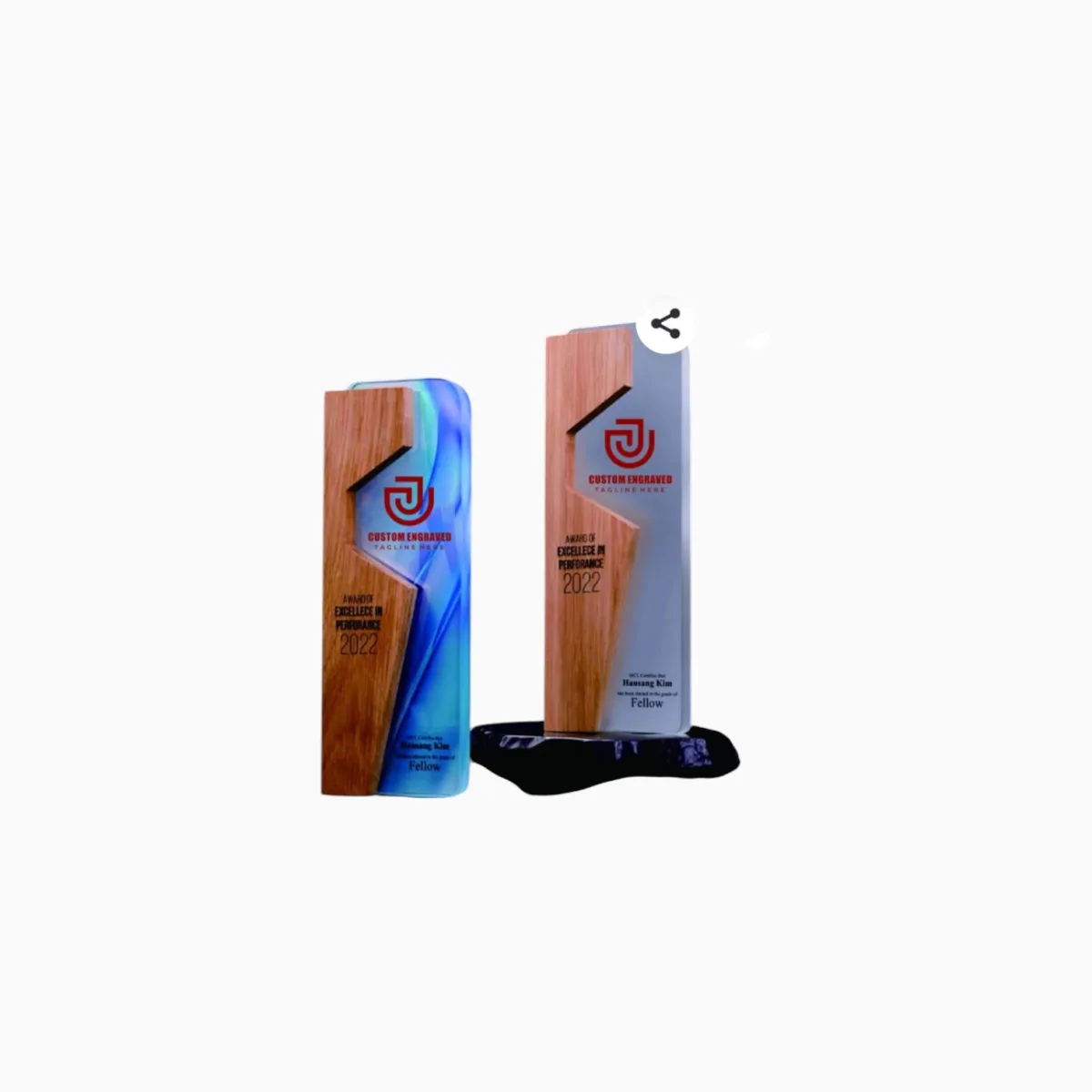 Corporate Trophy — product photo