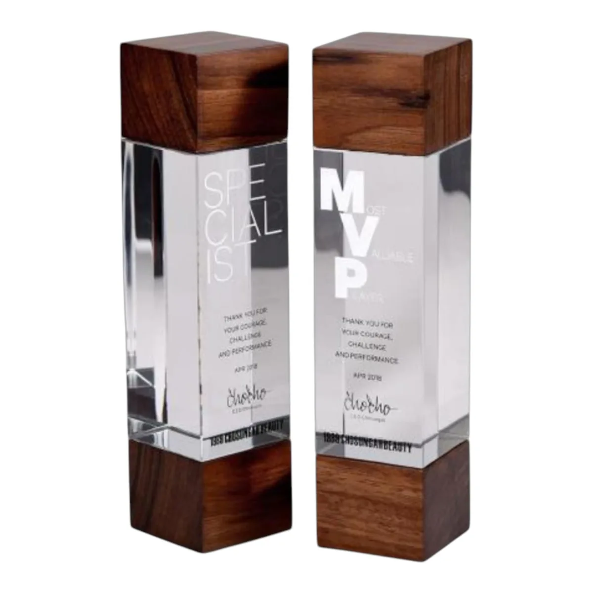 Corporate Trophy — product photo