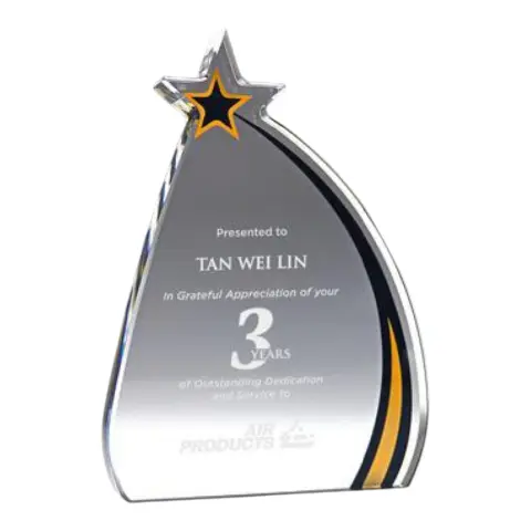 Corporate Trophy