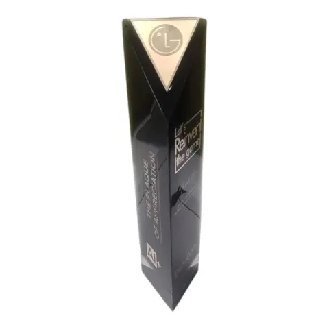 Corporate Trophy