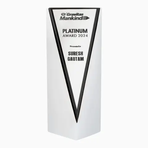 Corporate Trophy