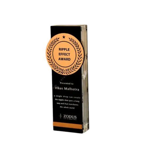 Corporate Trophy