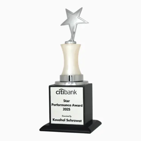 Corporate Trophy
