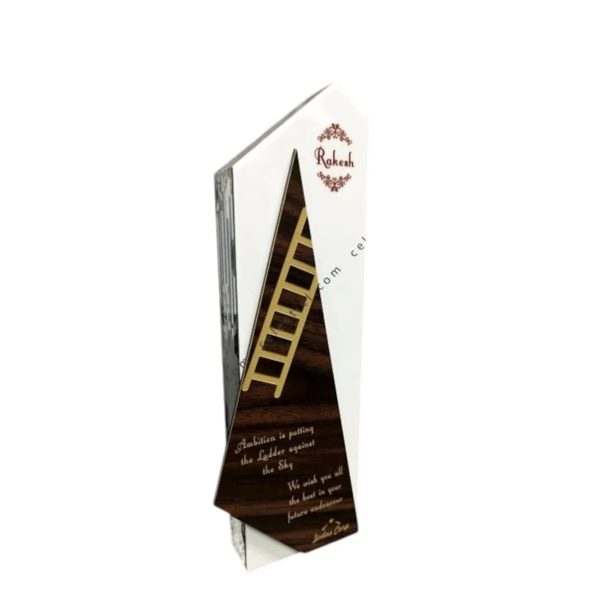 Corporate Trophy — product photo