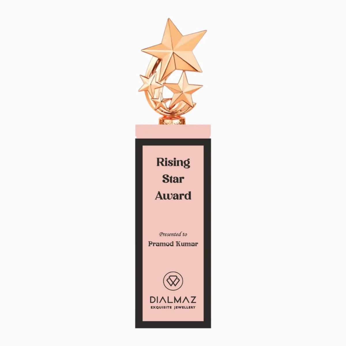 Corporate Trophy — product photo