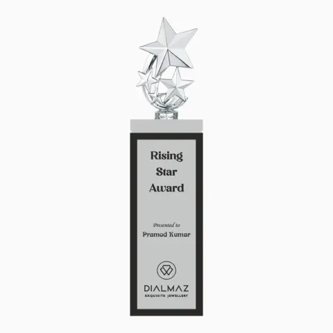 Corporate Trophy