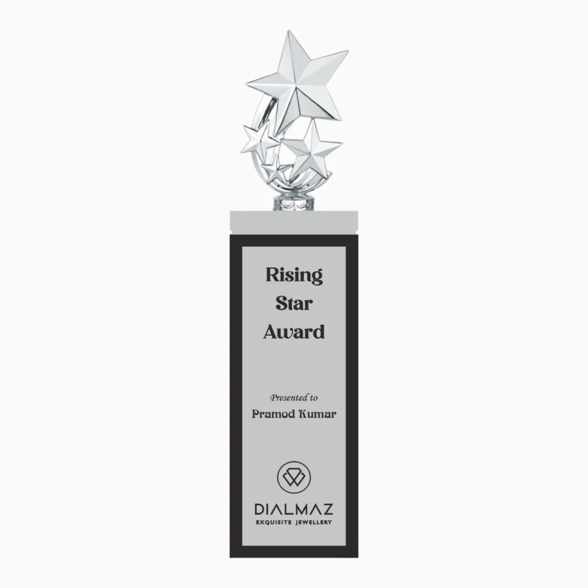 Corporate Trophy — product photo