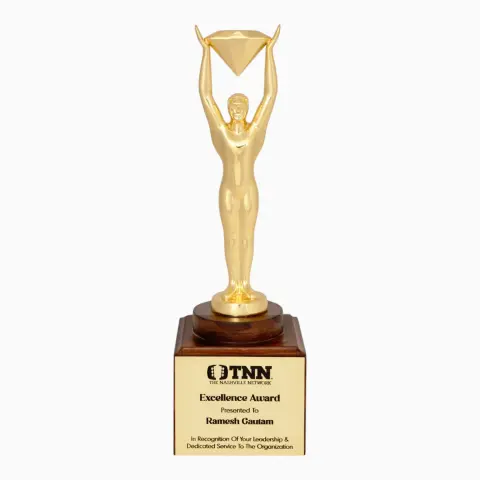 Corporate Trophy