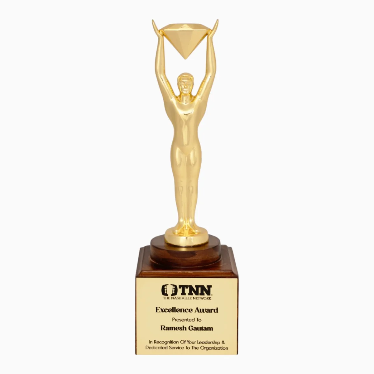Corporate Trophy — product photo