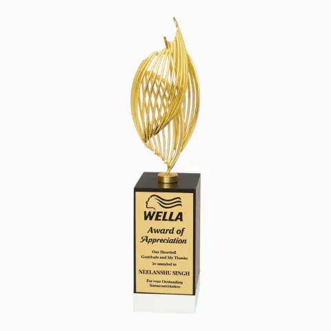 Corporate Trophy