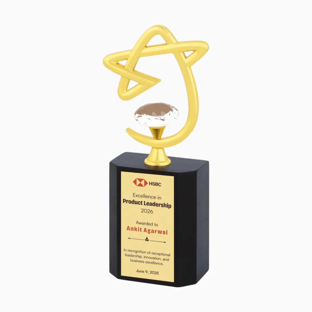 Corporate Trophy — product photo