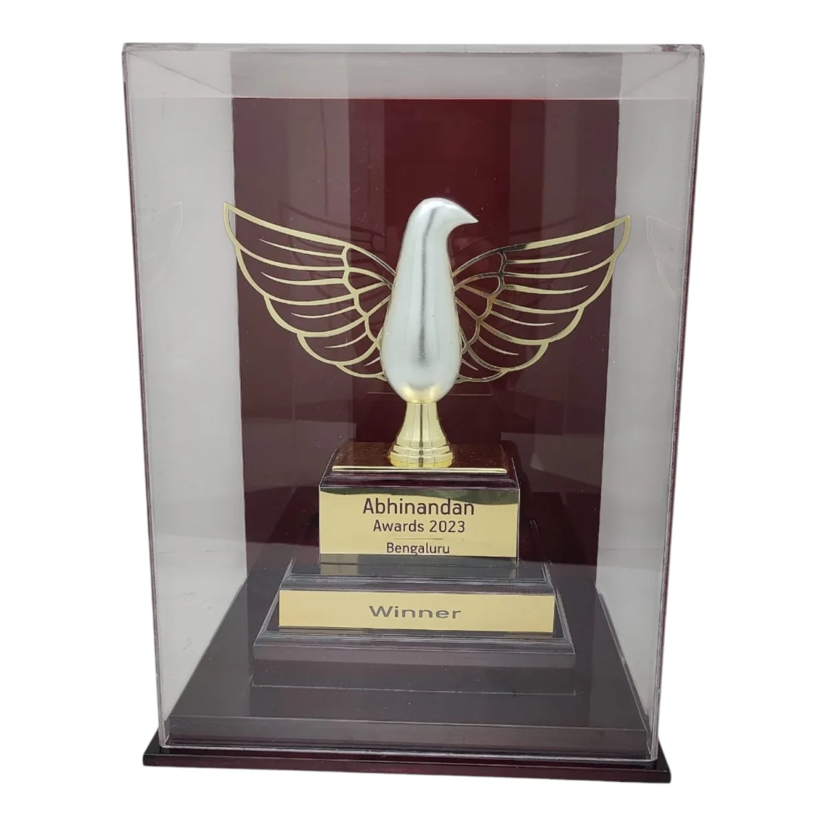 Corporate Trophy — product photo